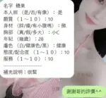 新竹定點茶-糖果