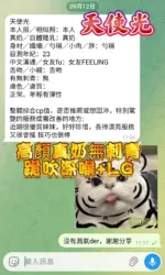 高雄定點茶-天使光