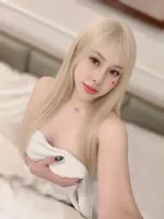 新竹定點茶-尤里