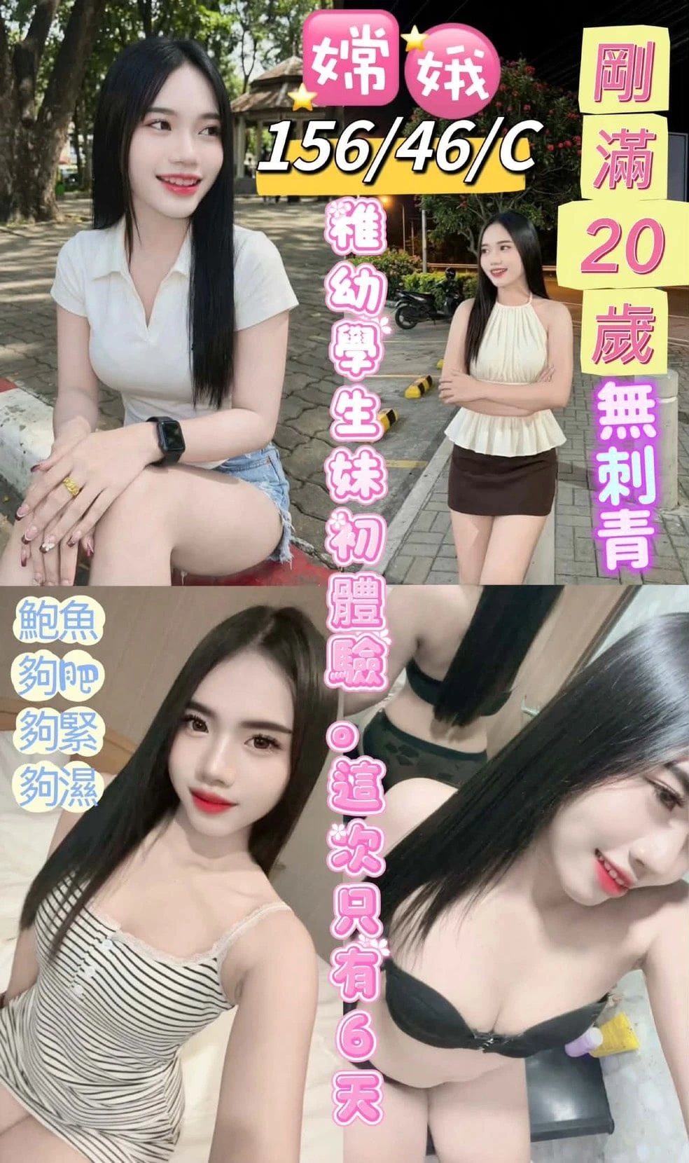 台東定點茶-嫦娥 台東定點茶-嫦娥