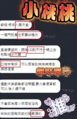 南投定點茶-小桃桃