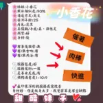 新竹定點茶-小香花