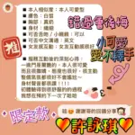 台南定點茶-許詠琪