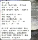 新竹定點茶-小櫻