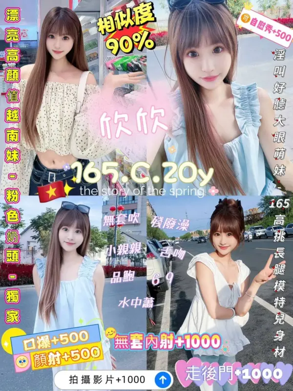 新北定點茶